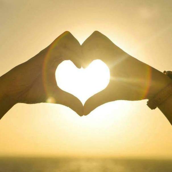 13012820_10154156527483960_7050504370199305697_n