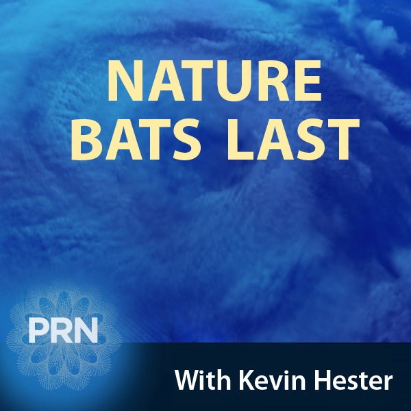 Nature-Bats-Last-KH