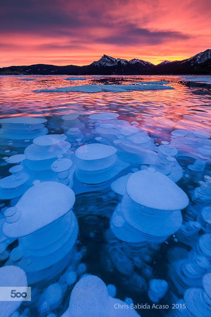 Methane Bubbles Alberta Canada