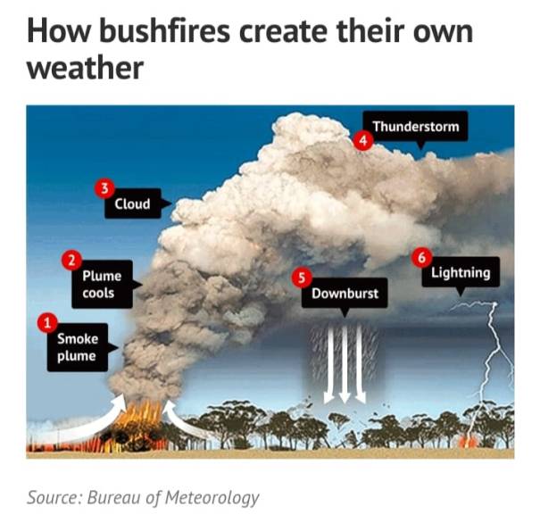 83272723_10157010989388284_4420597683568246784_n