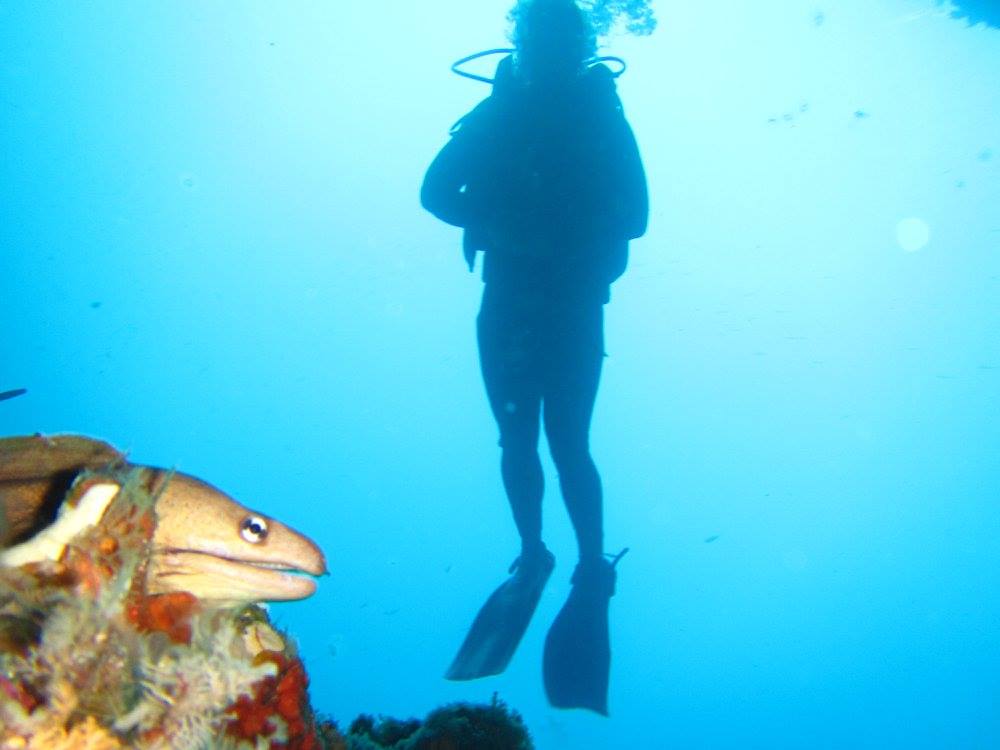 16836120_10210553338802391_2211992653616838469_o