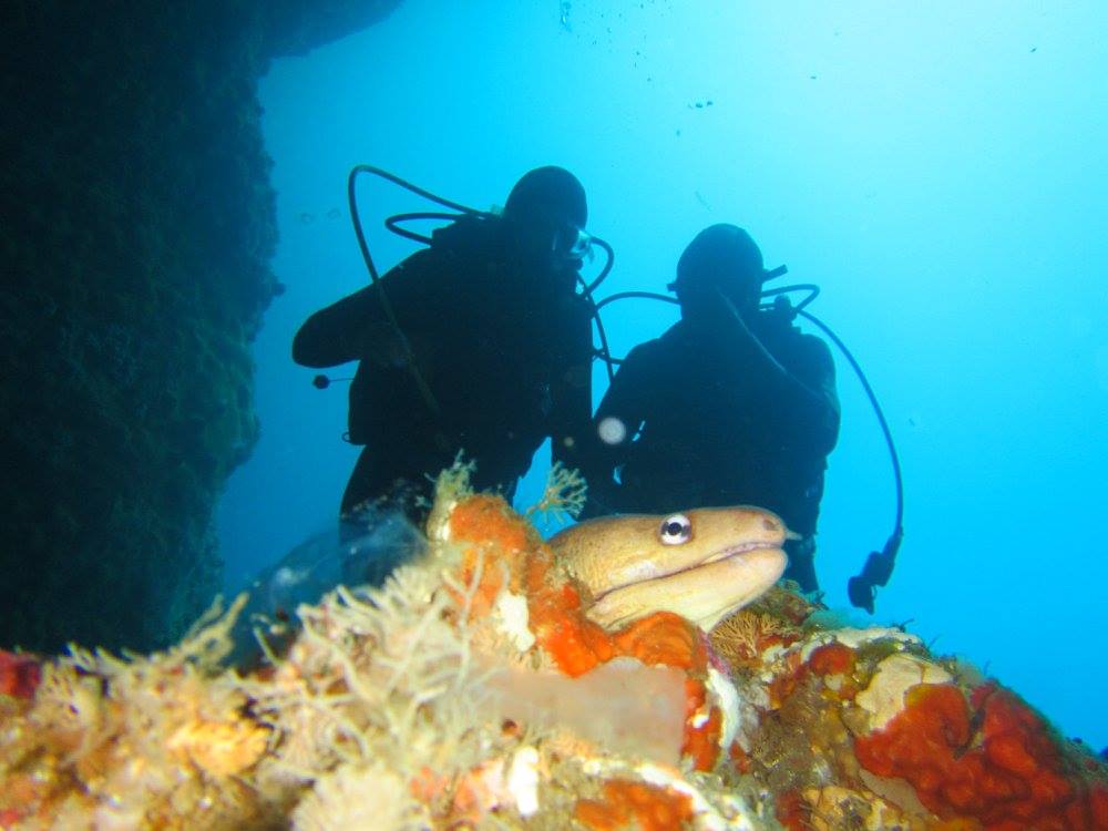 16904845_10210553286241077_3257316874853757923_o