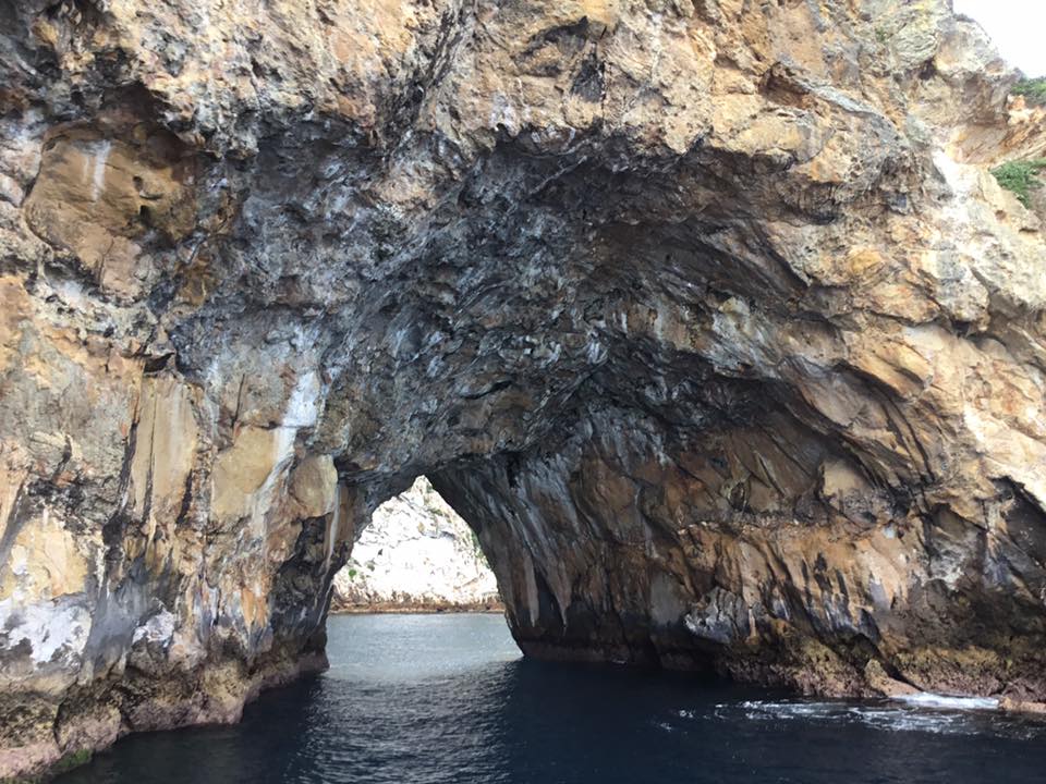 16998167_10210548359837920_5661082366965748461_n