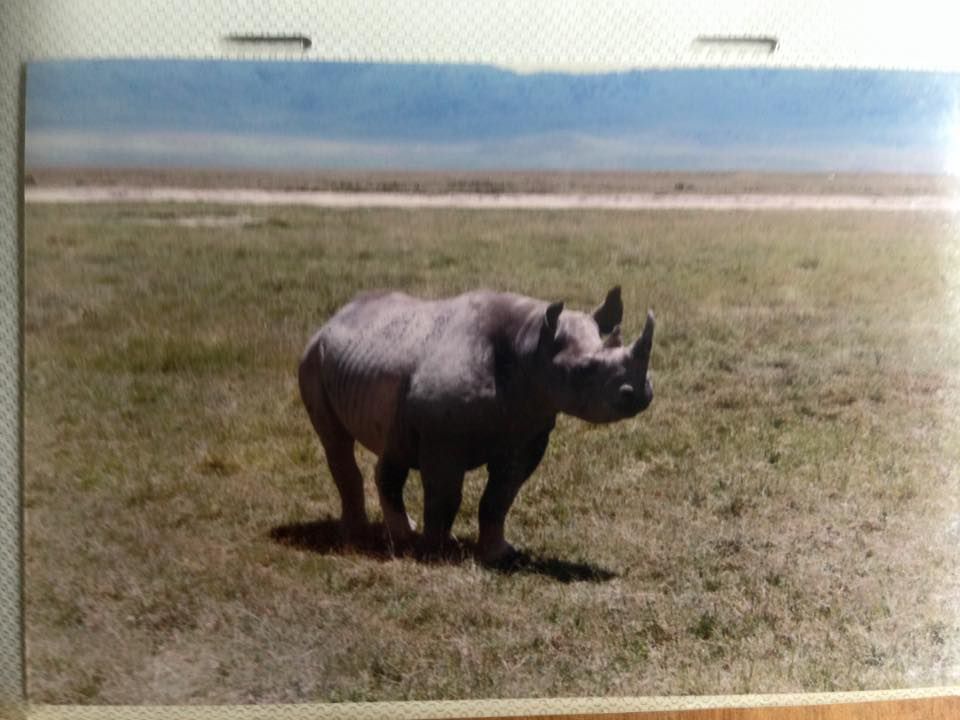 11873502_10206221101379163_5019069876994847553_n