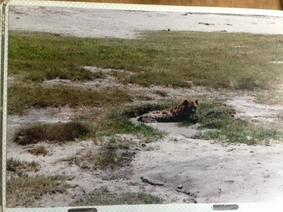 11890930_10206221100899151_371984525626833265_n